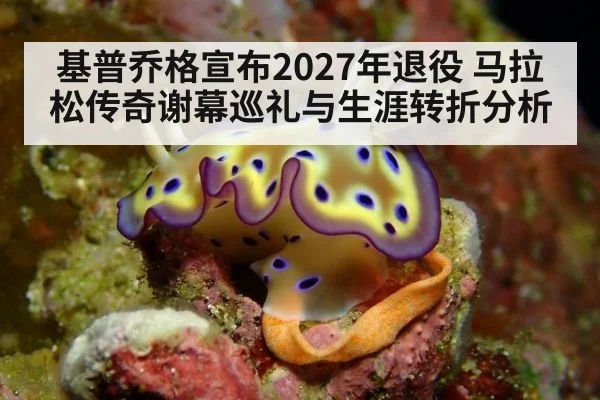 基普乔格宣布2027年退役 马拉松传奇谢幕巡礼与生涯转折分析